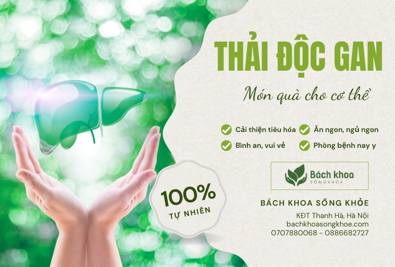 Thải độc gan – Món quà bạn nợ chính mình