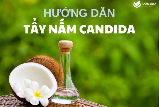 TẨY NẤM CANDIDA BẰNG DẦU DỪA
