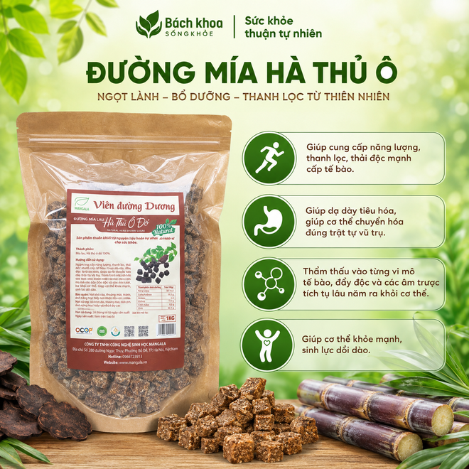 Đường Mía Hà Thủ Ô 100% tự nhiên