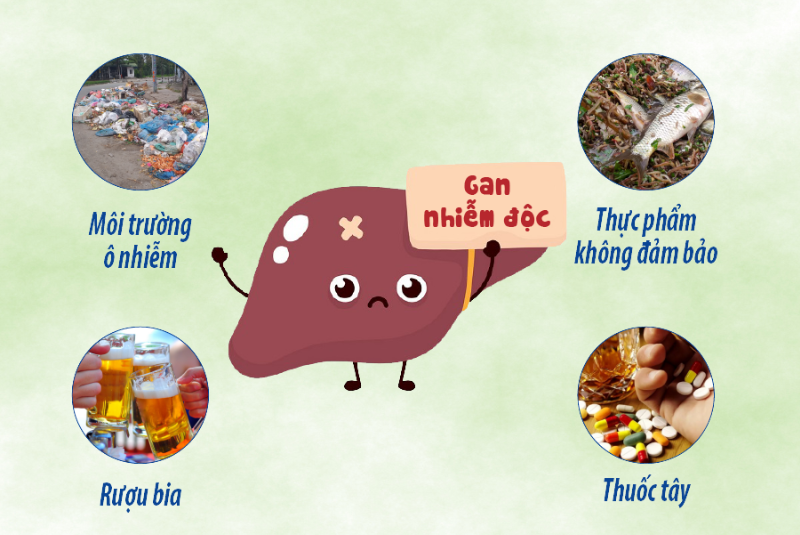 gan nhiễm độc
